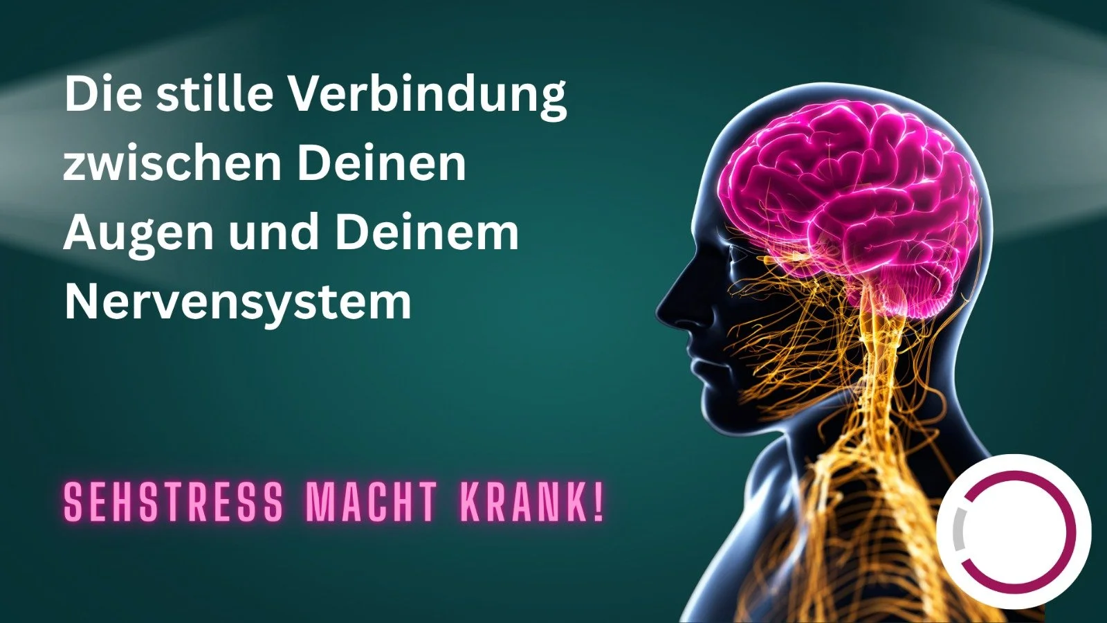 Wenn die Augen das Nervensystem stressen