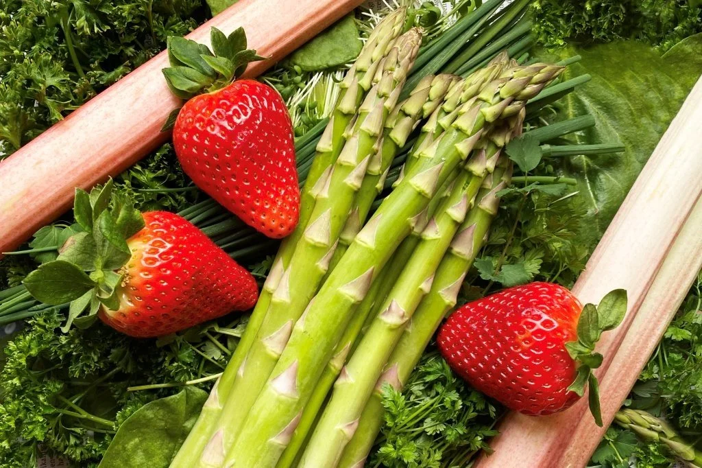 „Dolce Vita – la Primavera!“