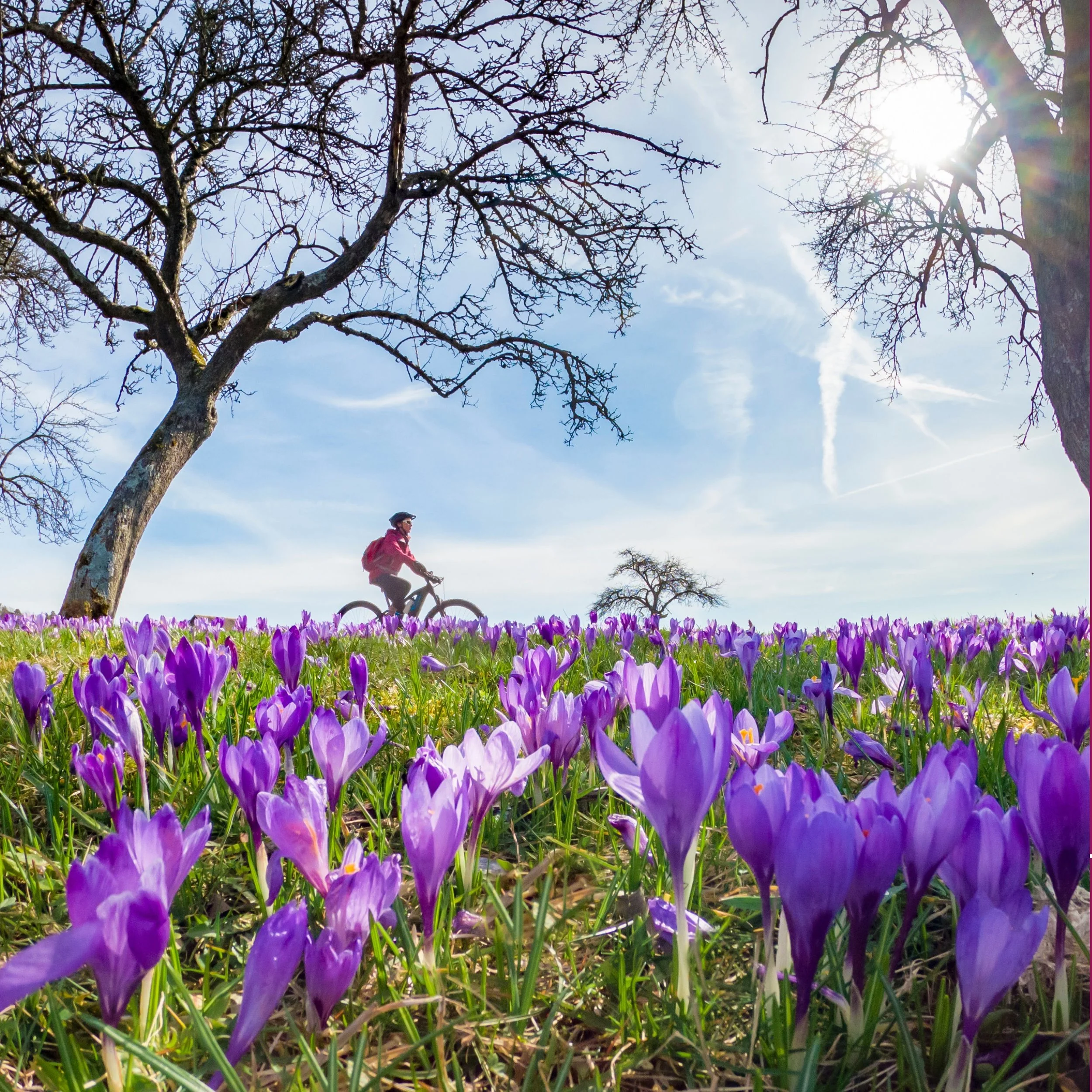 Vorsorge statt Nachsorge