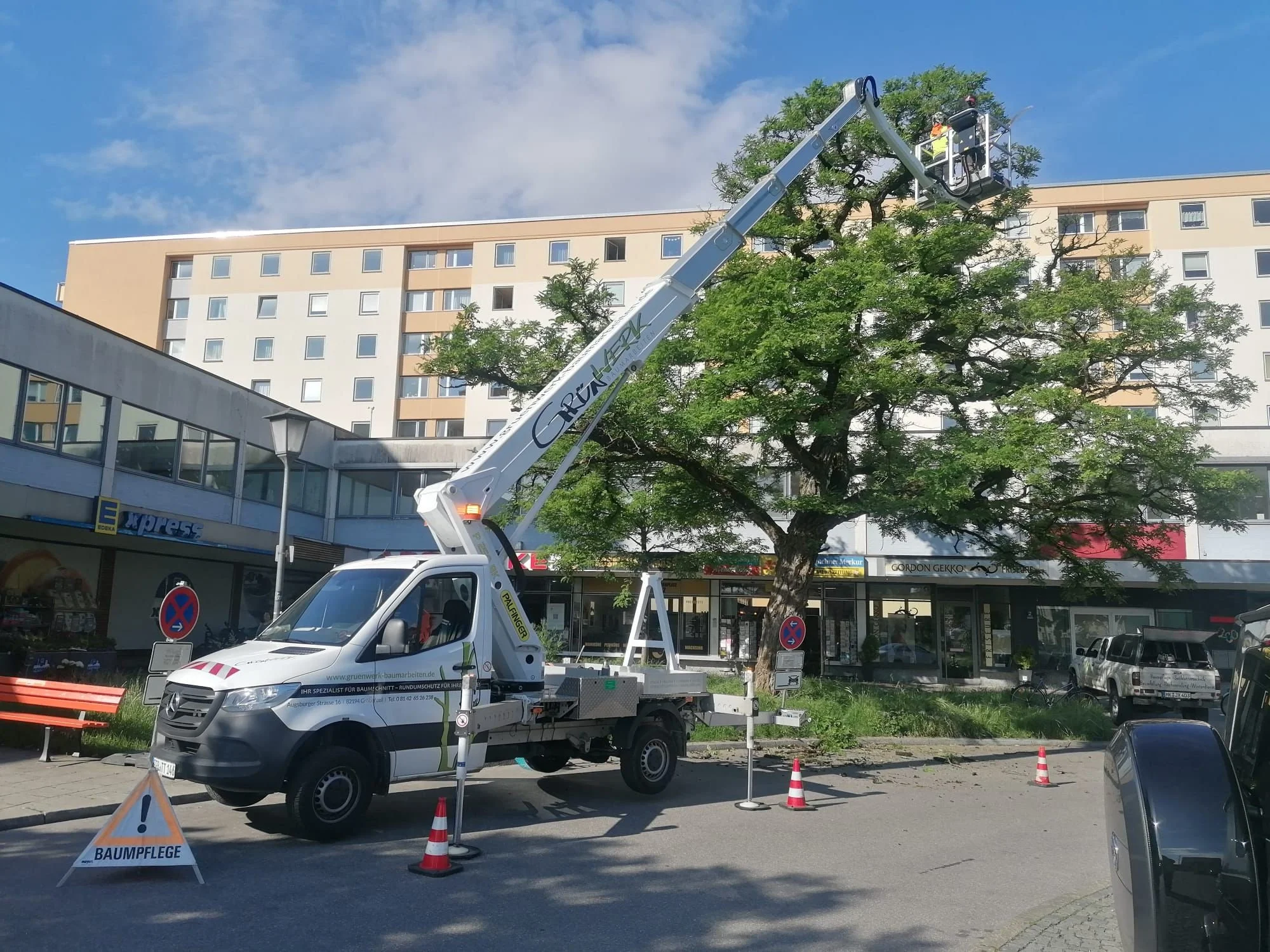 Beste Zeiten zum Bäumeschneiden