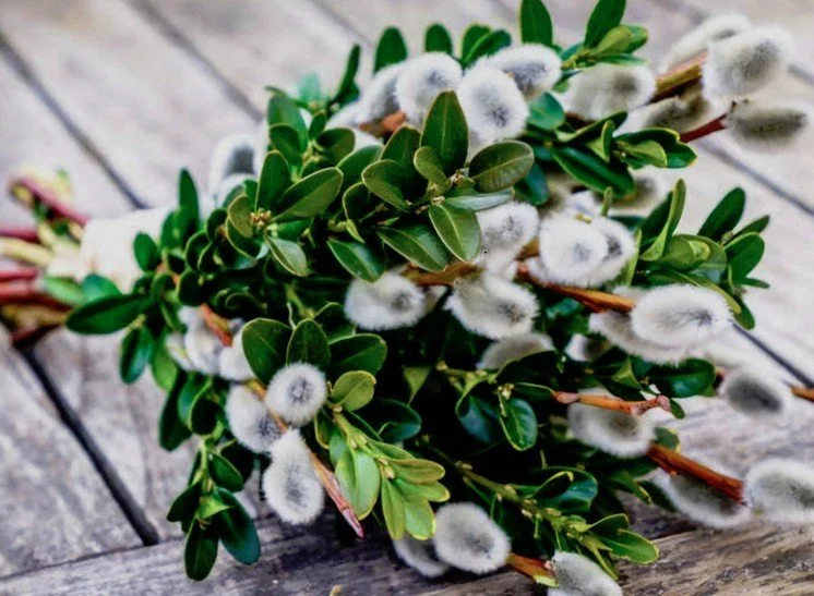 Ein Sträußchen fürs Häuschen