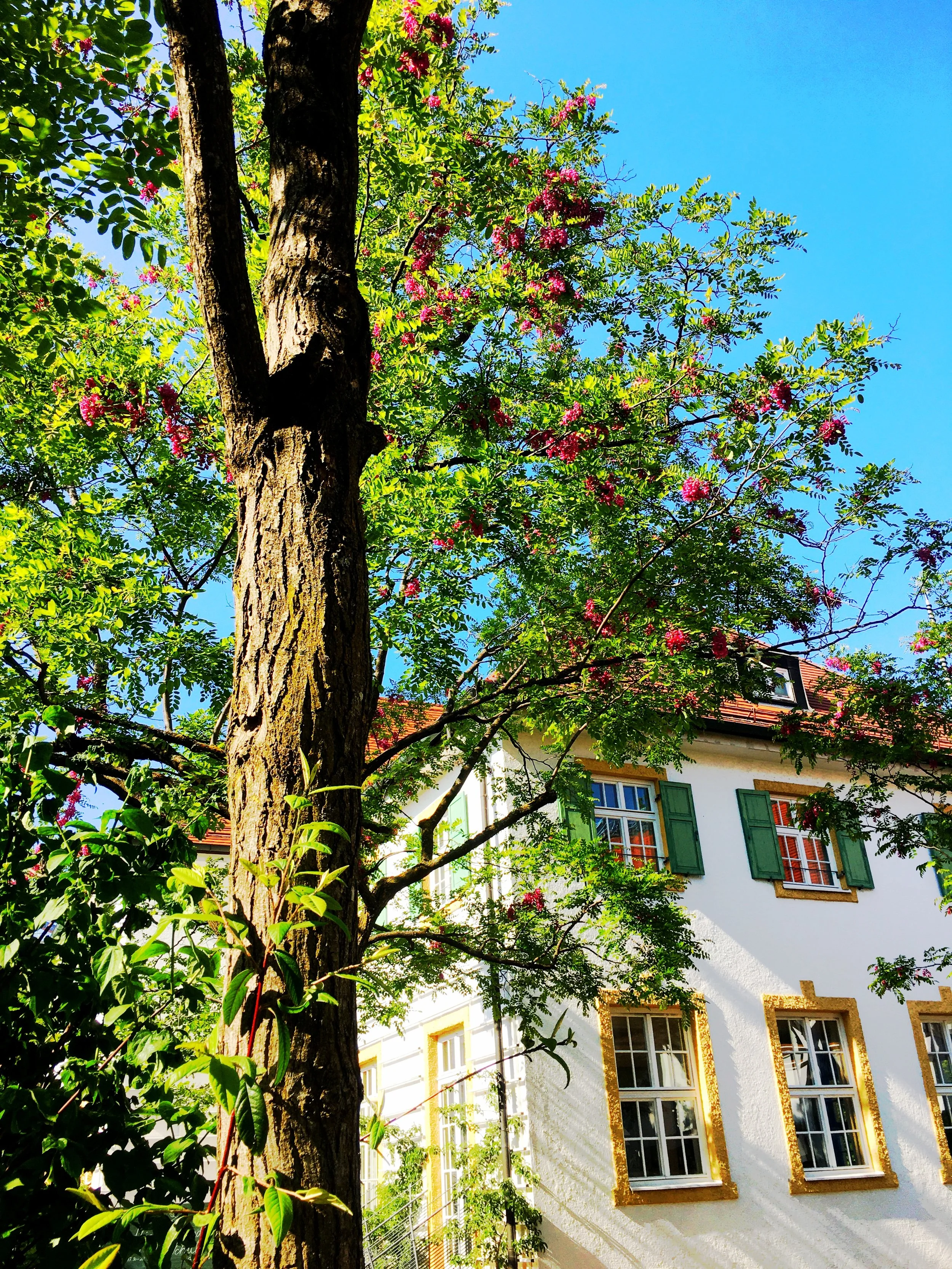 Unterm Brucker Himmel
