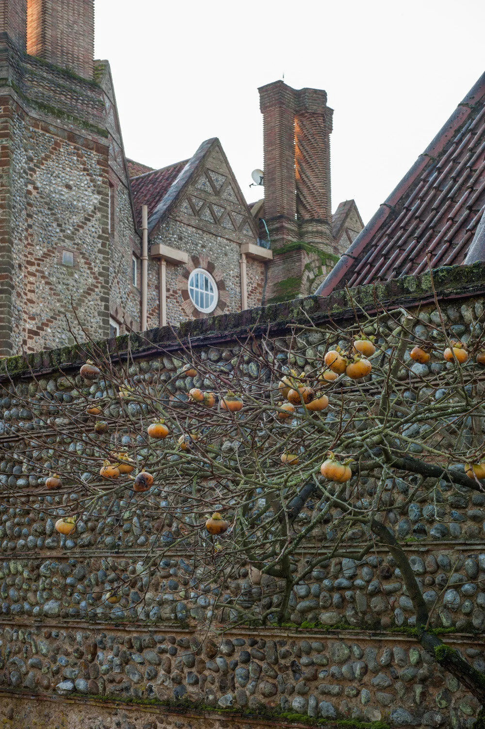 voewood-016.JPG