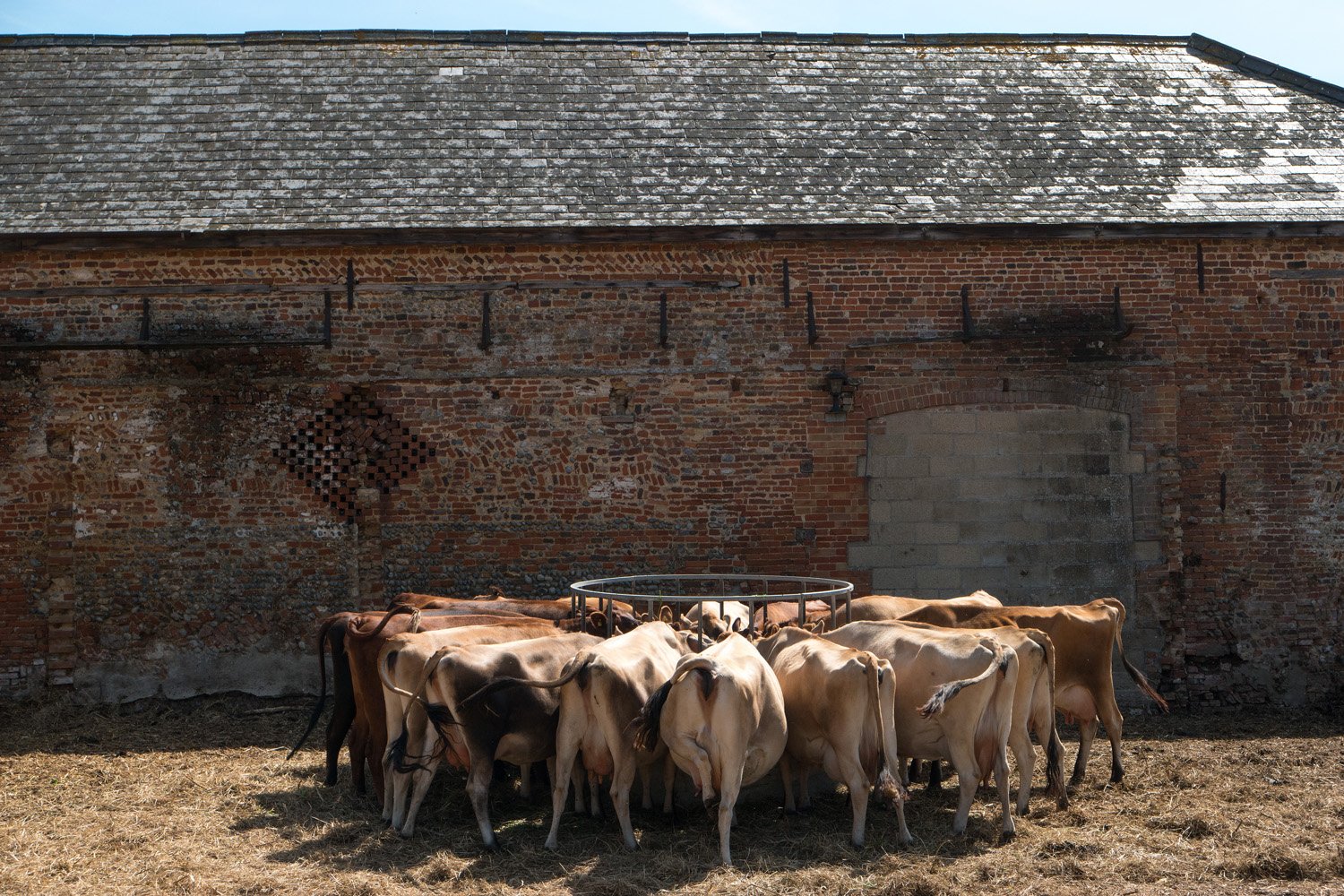  Raw milk production. 