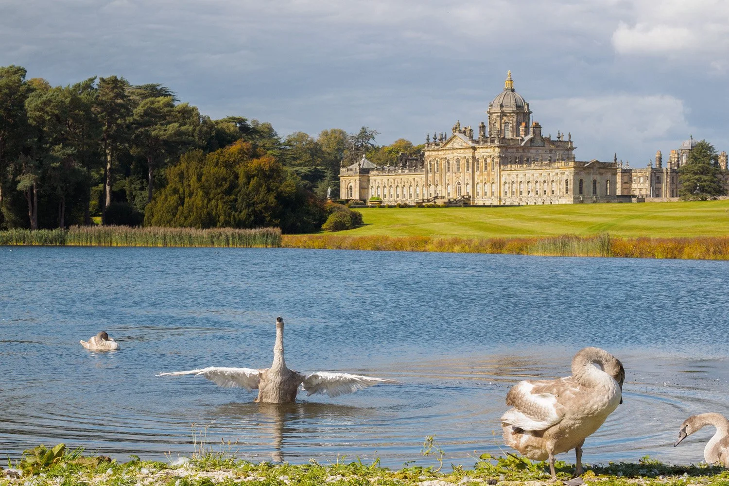  Castle Howard 