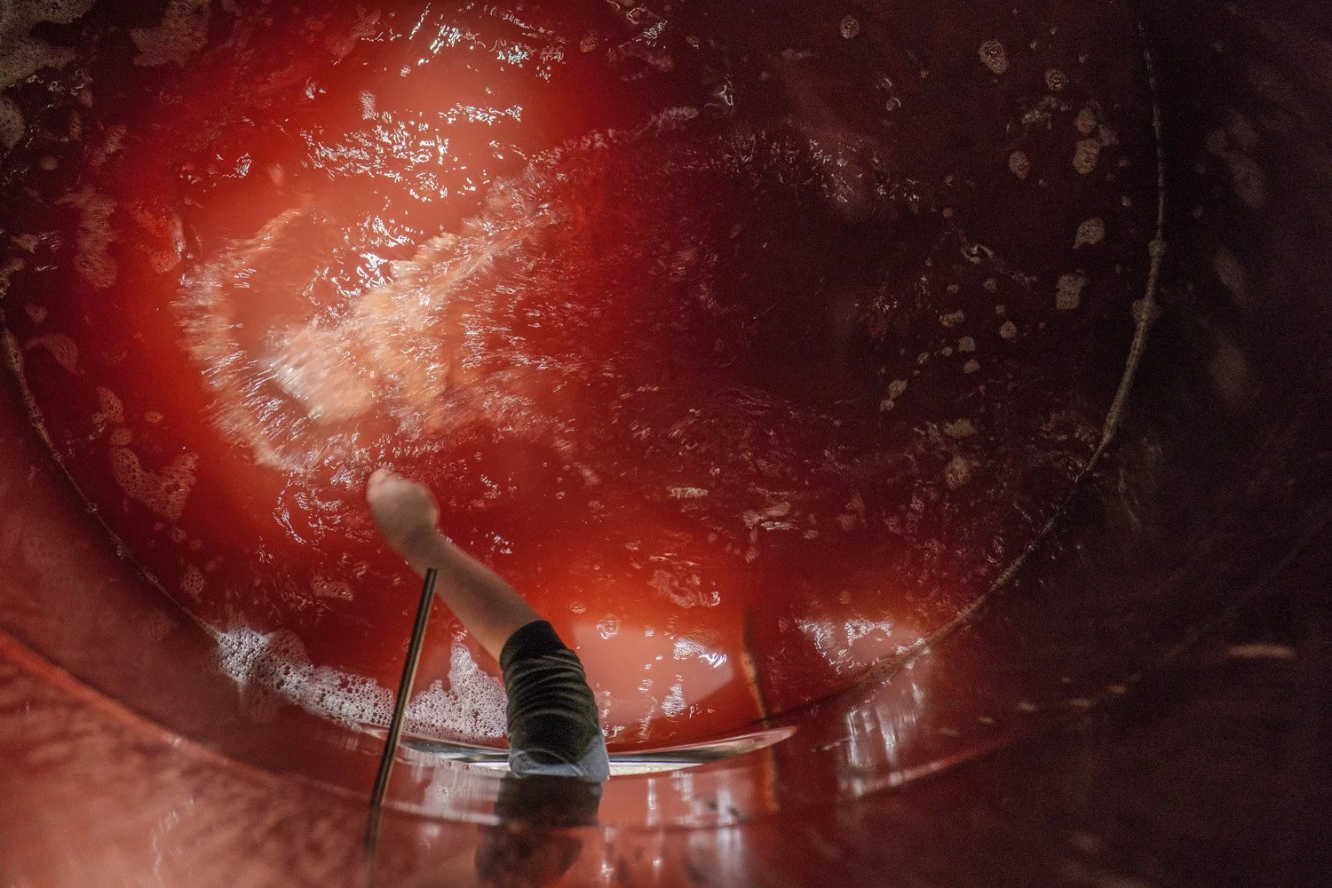  Rosé wine production, Norfolk. 
