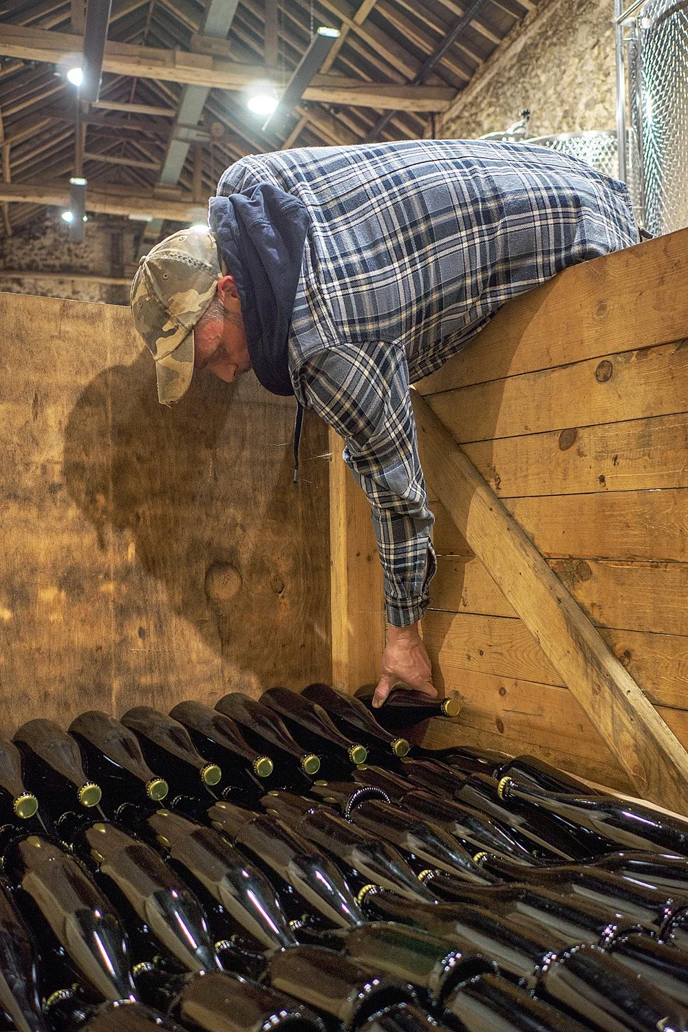  Wine production Norfolk. 