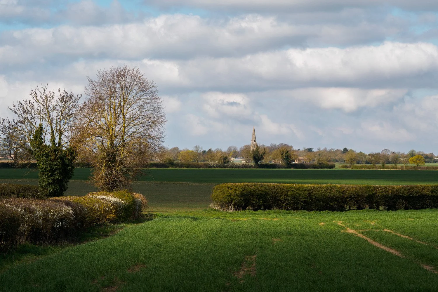  Proposed site of a large solar farm, Lincolnshire 