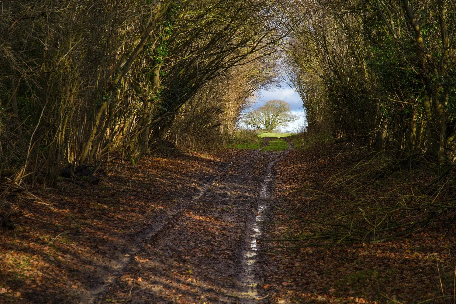  A good walk to the pub for The Guardian 