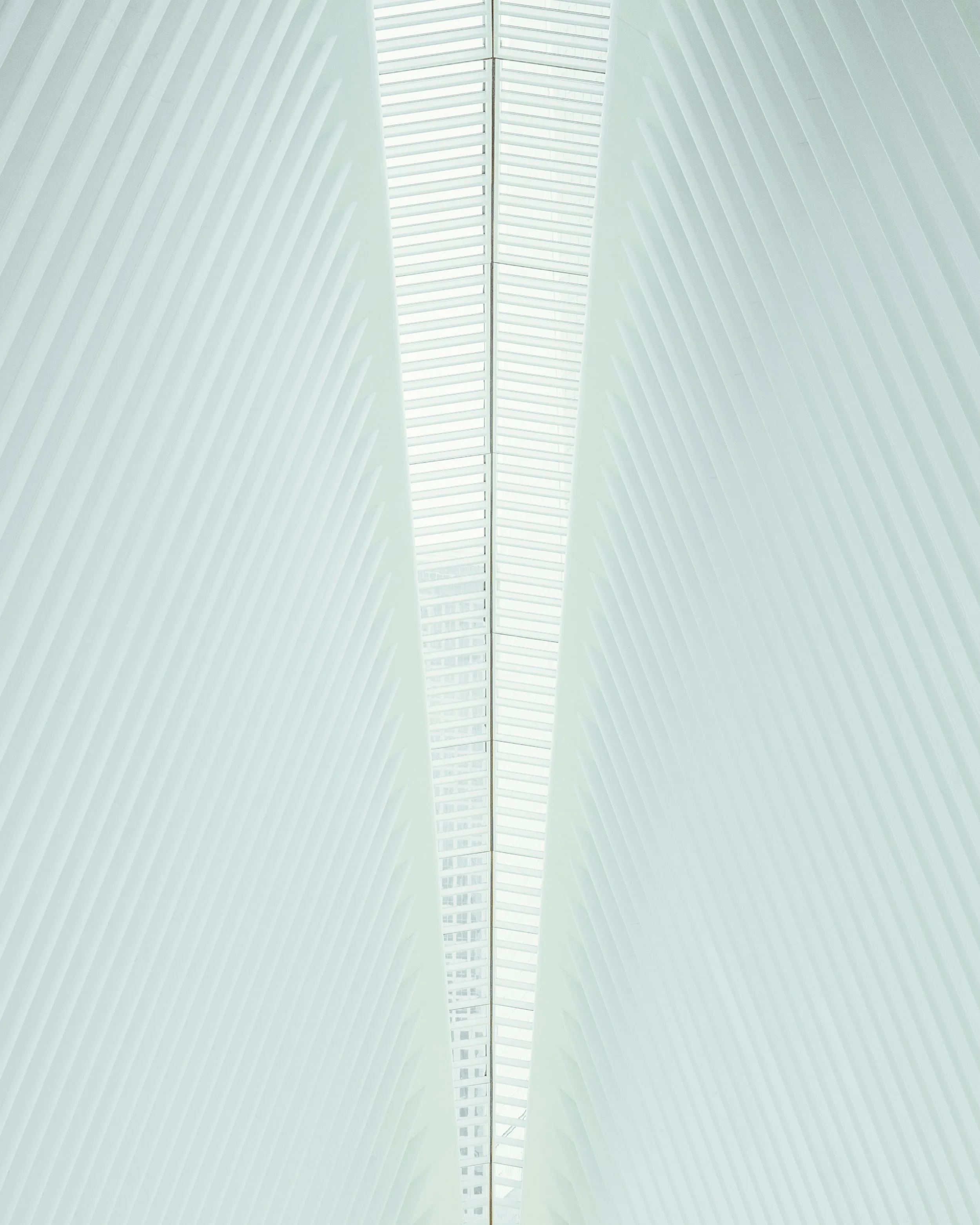 oculus (1 of 1)-2.jpg