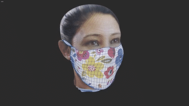 CG Face Mask-low.gif