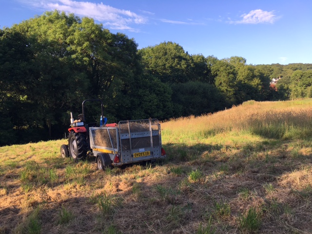 Grass cuttings being removed as part of the annual rotational cut - mid July 2017.