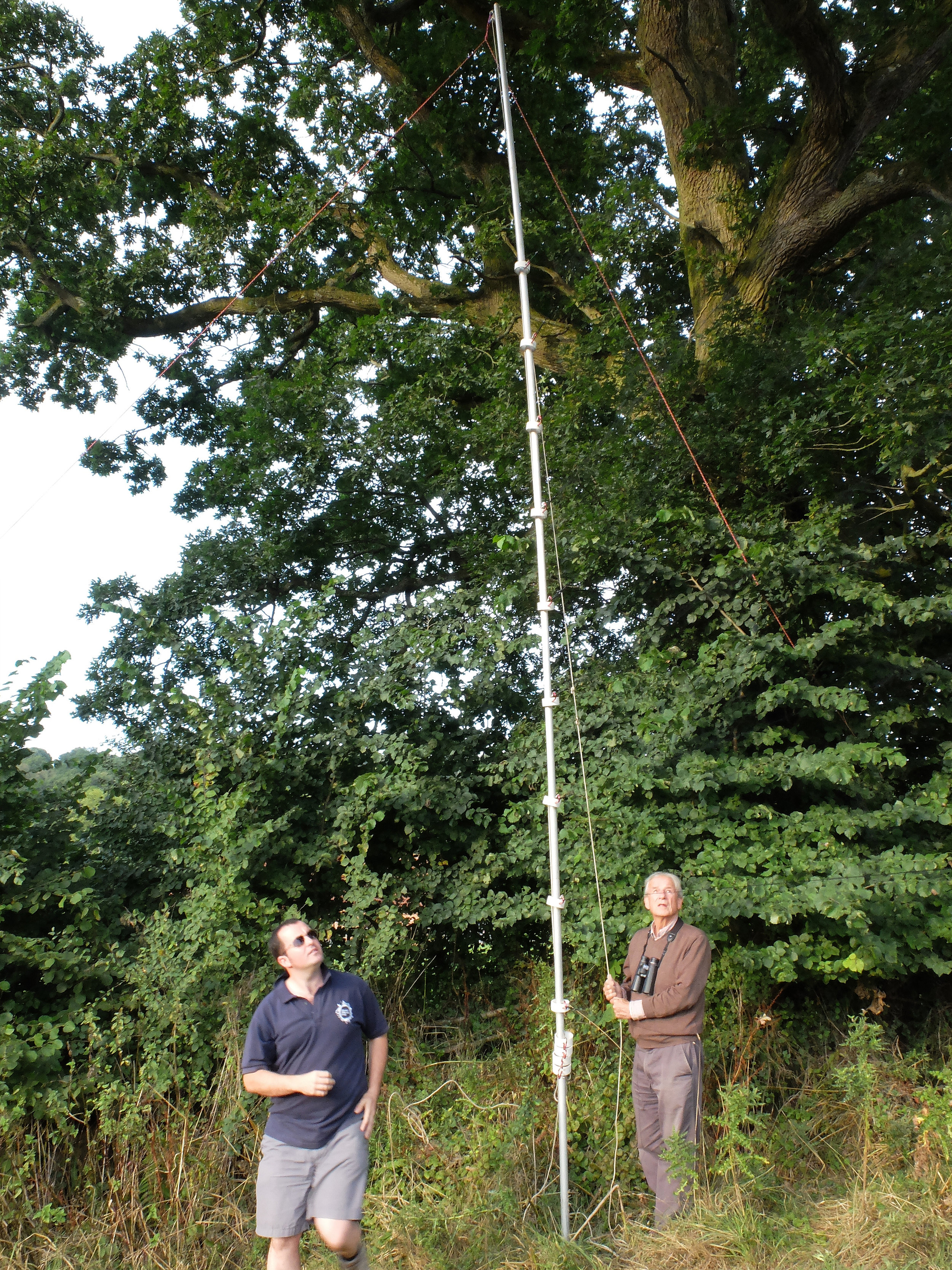 Erecting the Triple High net