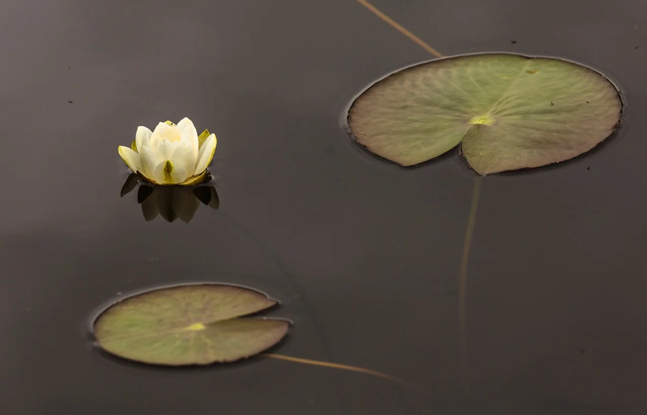 Underhill Wood_day 1_selection-5.jpeg