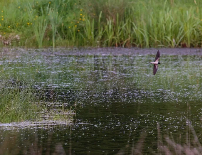 Underhill Wood_day 1_selection-11.jpeg