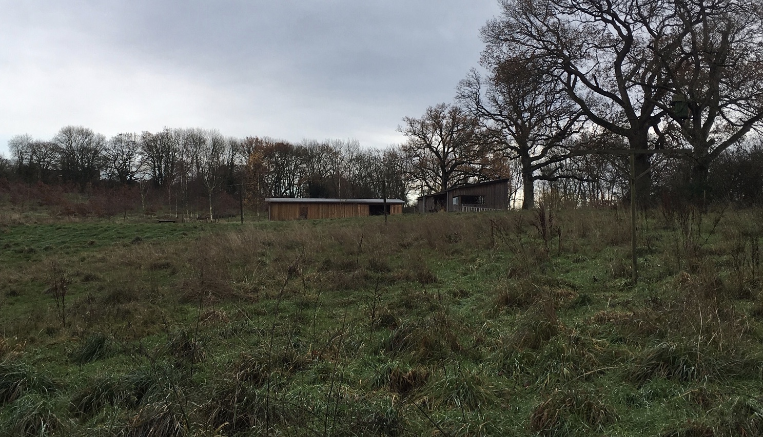 The new Barn Owl barn (to the left of the existing barn) situated near the Barn Owl field.