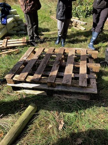 IMG_3707.jpeg