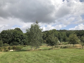 IMG_5947.jpeg