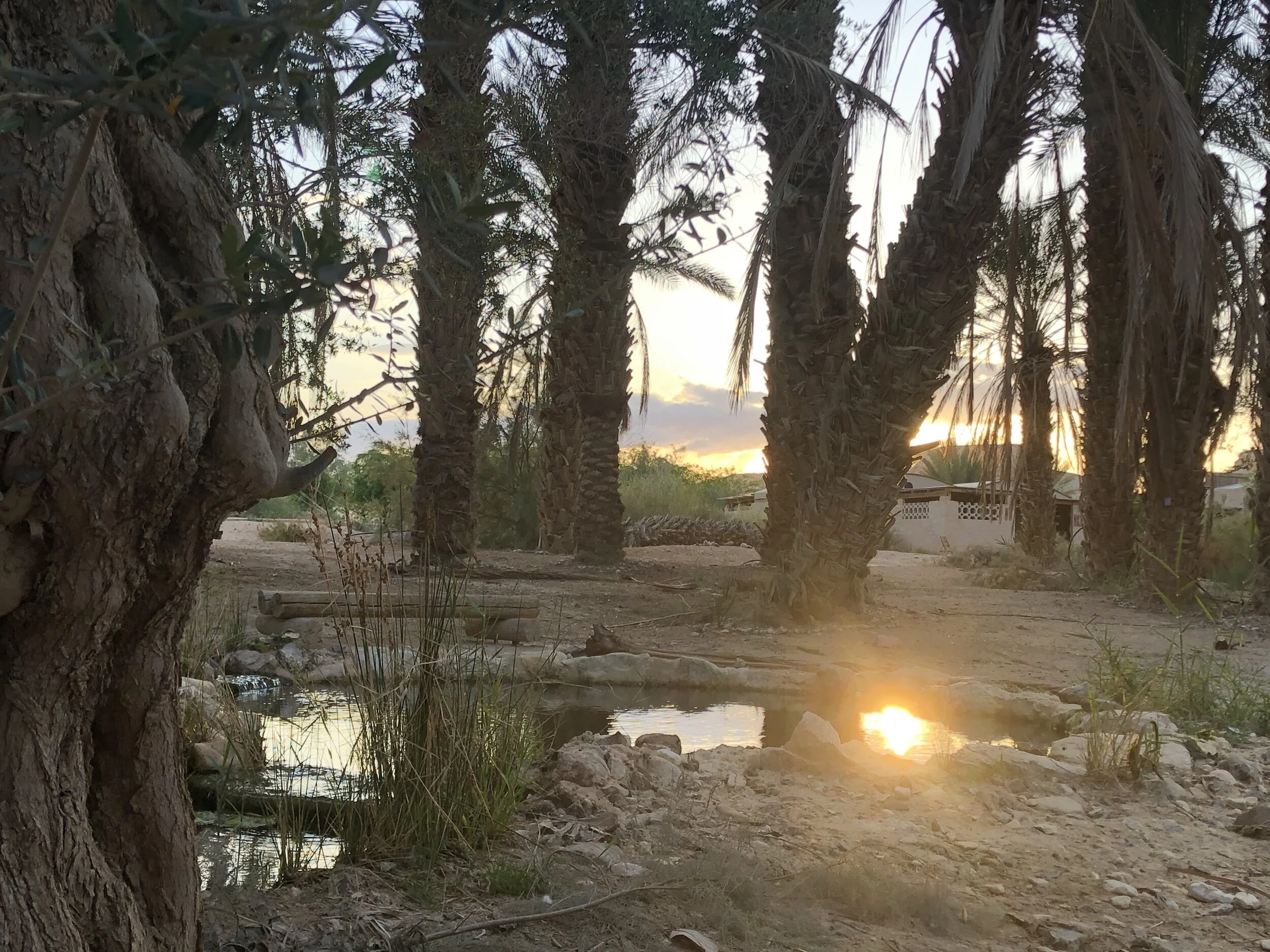 Water of Light