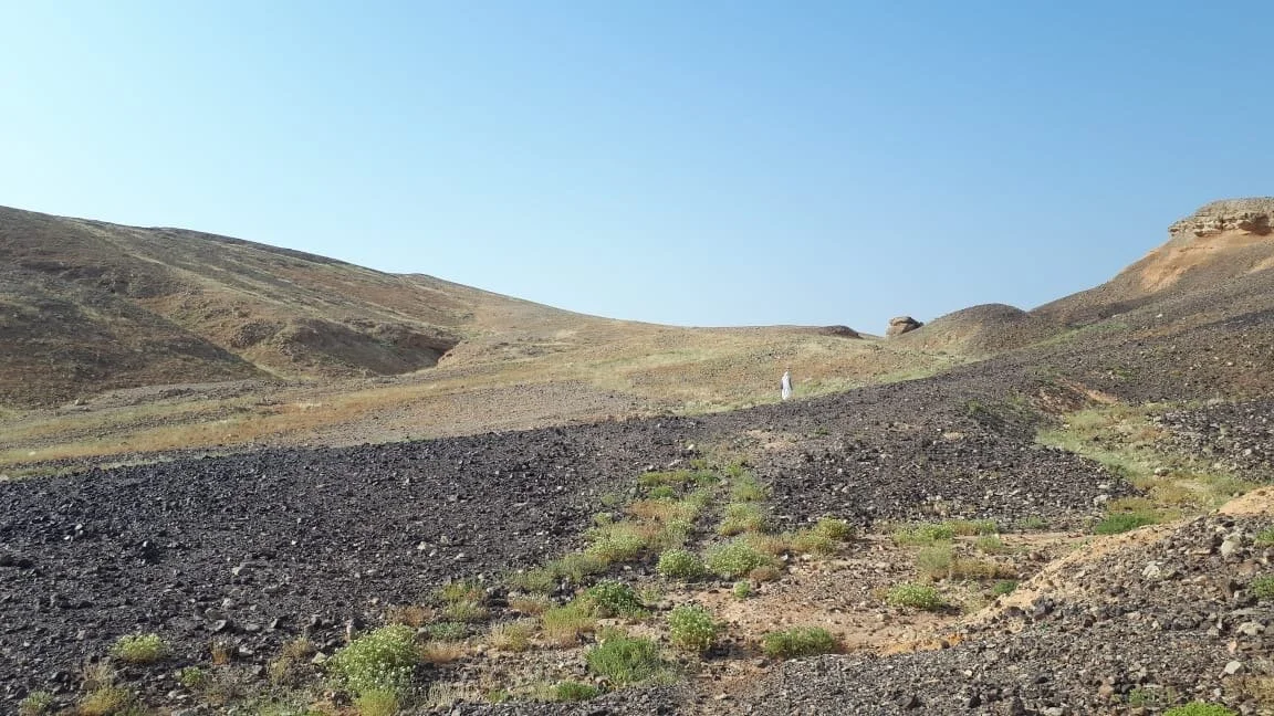 Walking; A mystic ritual 