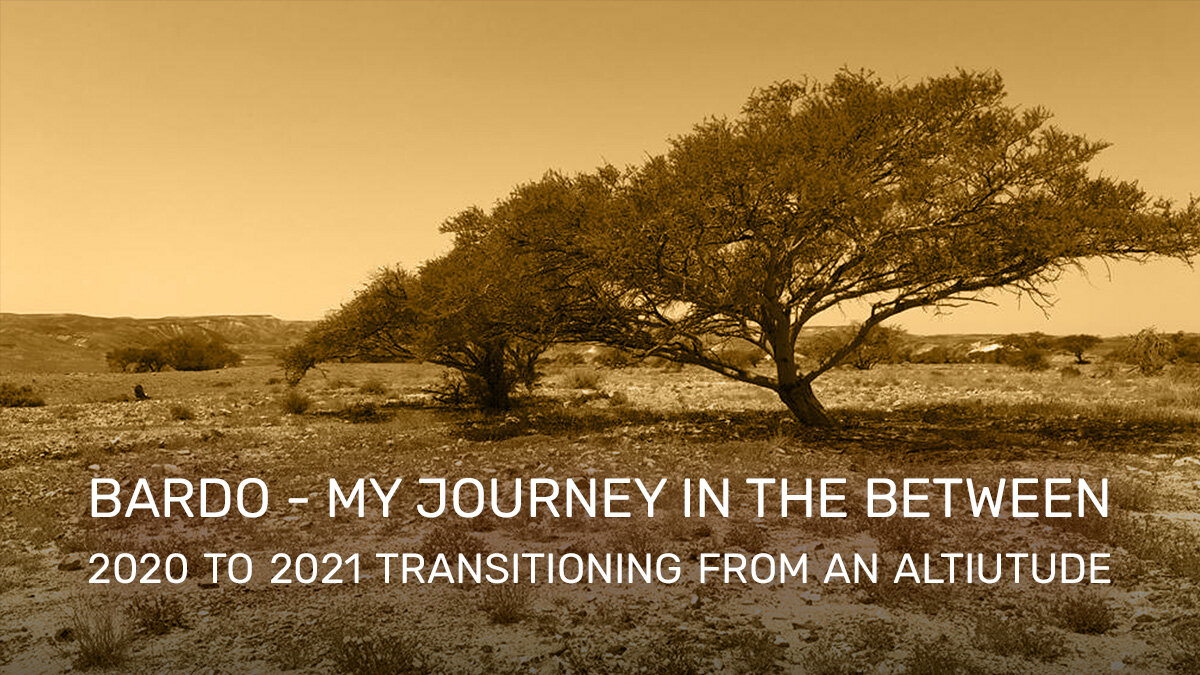 Bardo - My Journey in the Between