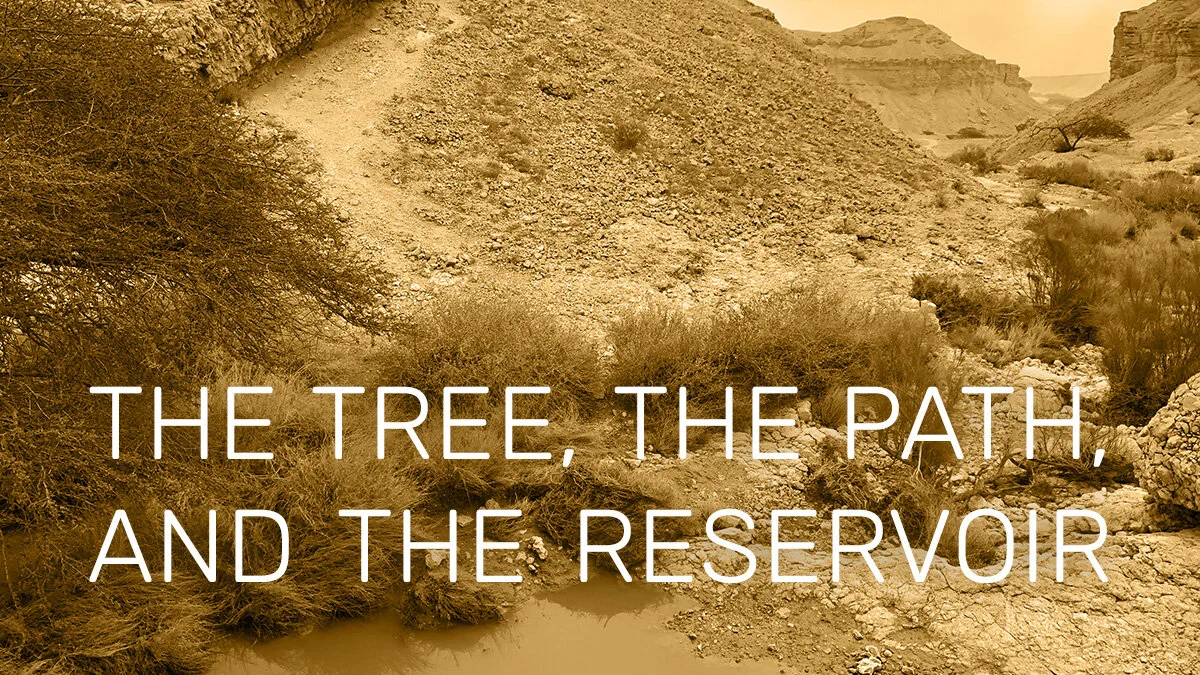 The Tree, The Path, and the Reservoir