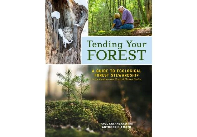 A Conversation with the Authors of Tending Our Forest