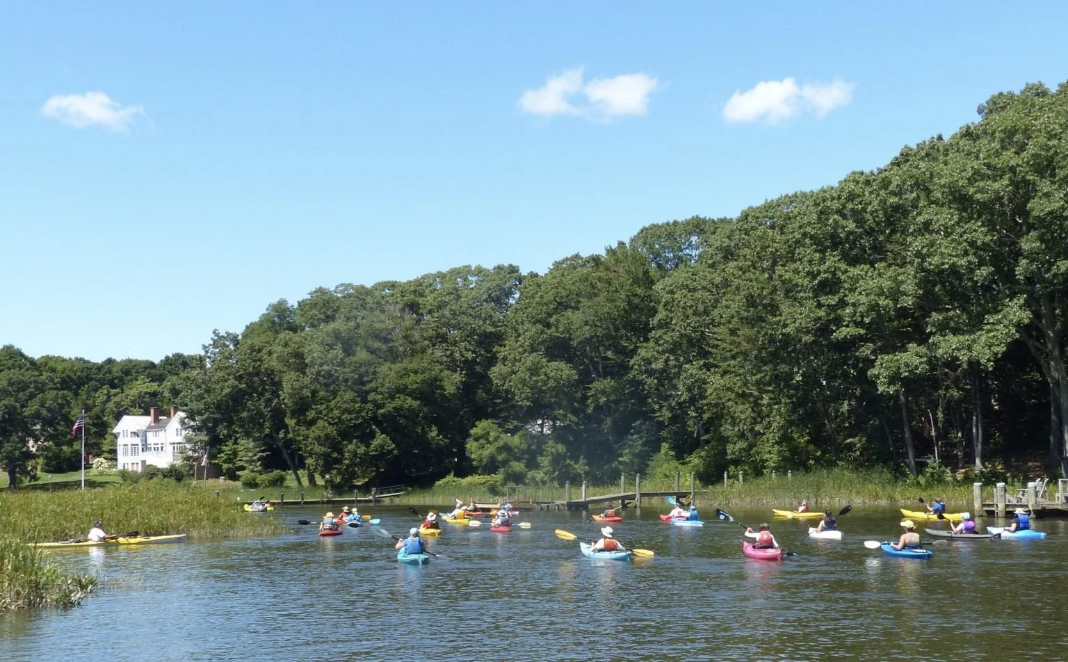 Patriotic Paddle and Picnic