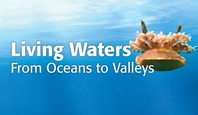 Living Waters Tour at Springfield Museum