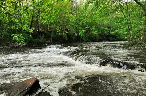 Scantic River Watershed Livestream