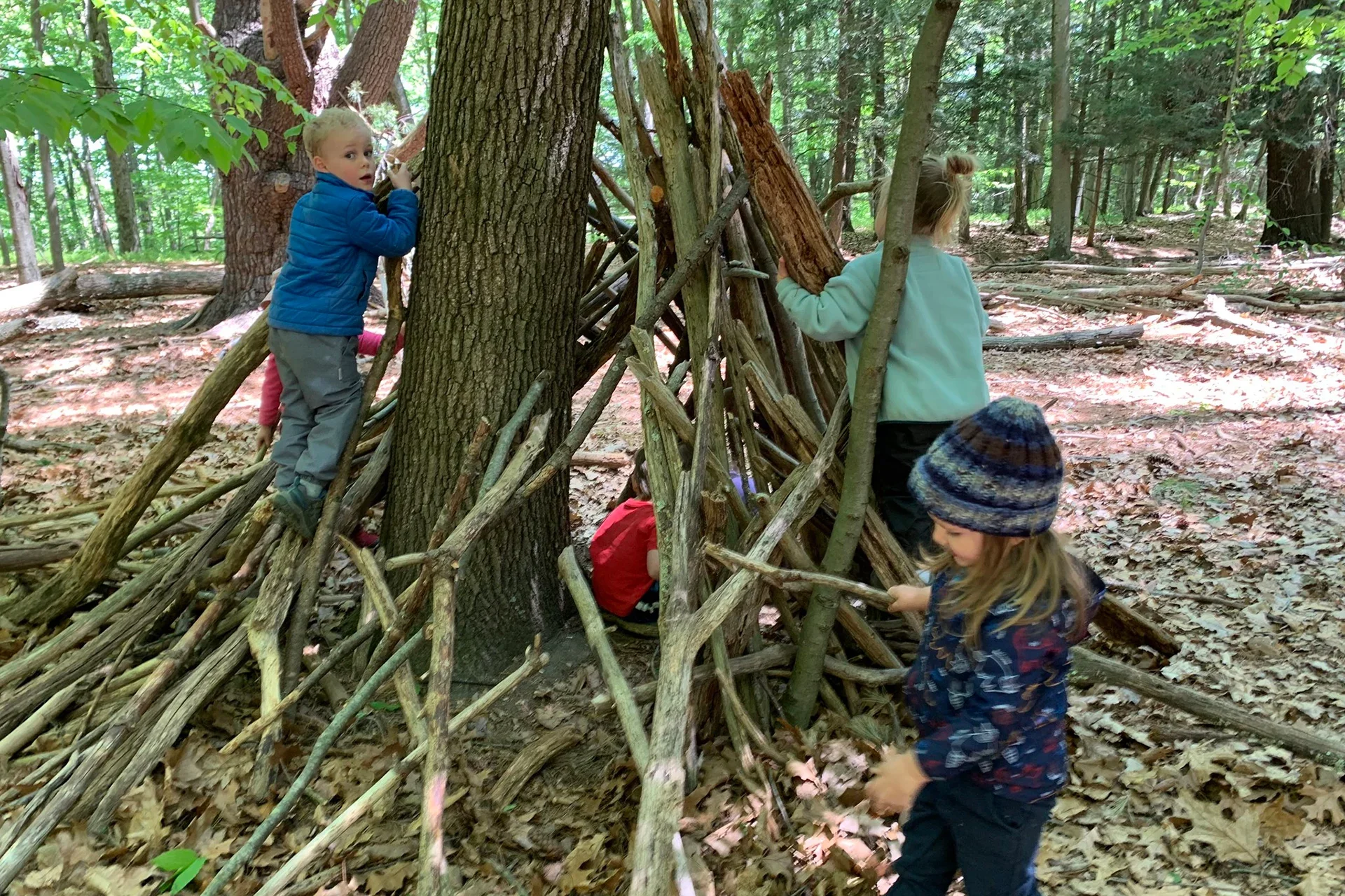 Celebrate 50 Years of Arcadia Nature Preschool