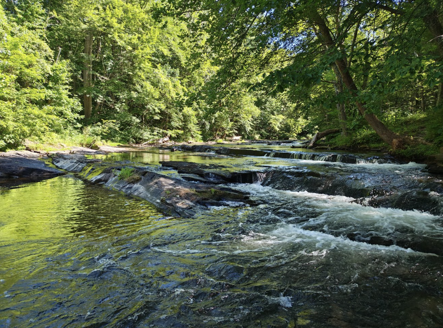 Scantic River Watershed Livestream