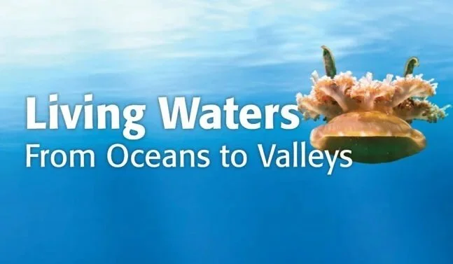 Living Waters Tour at Springfield Science Museum
