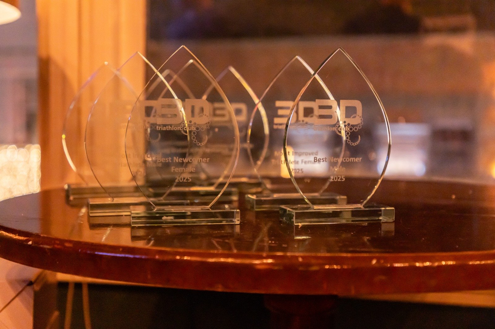 3D Awards Night 2025 - results