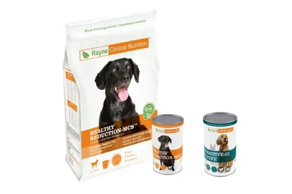 rayne dog food