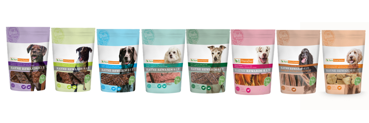 rayne dog food price