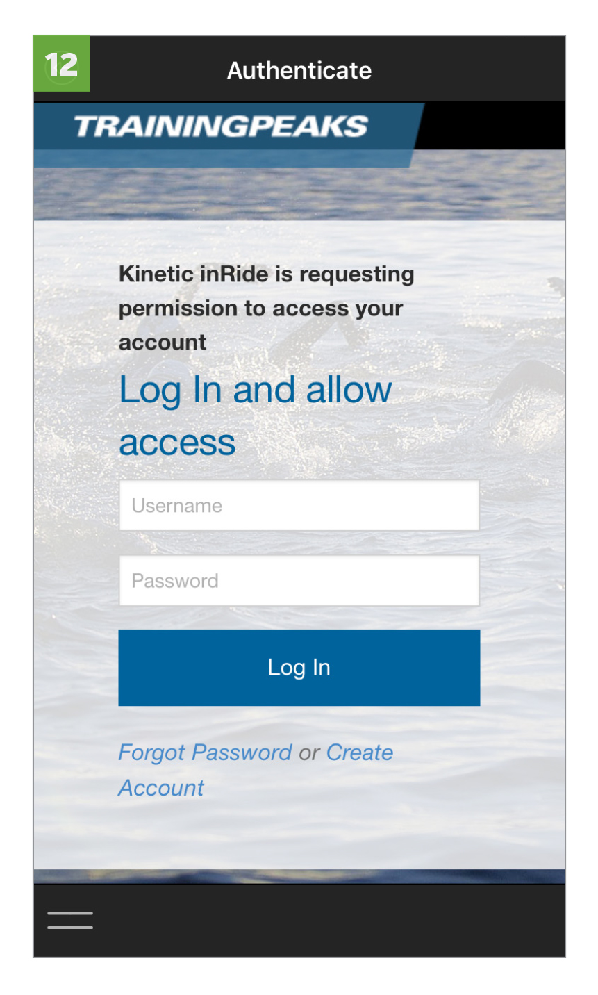 Fill in log in credentials and ALLOW access