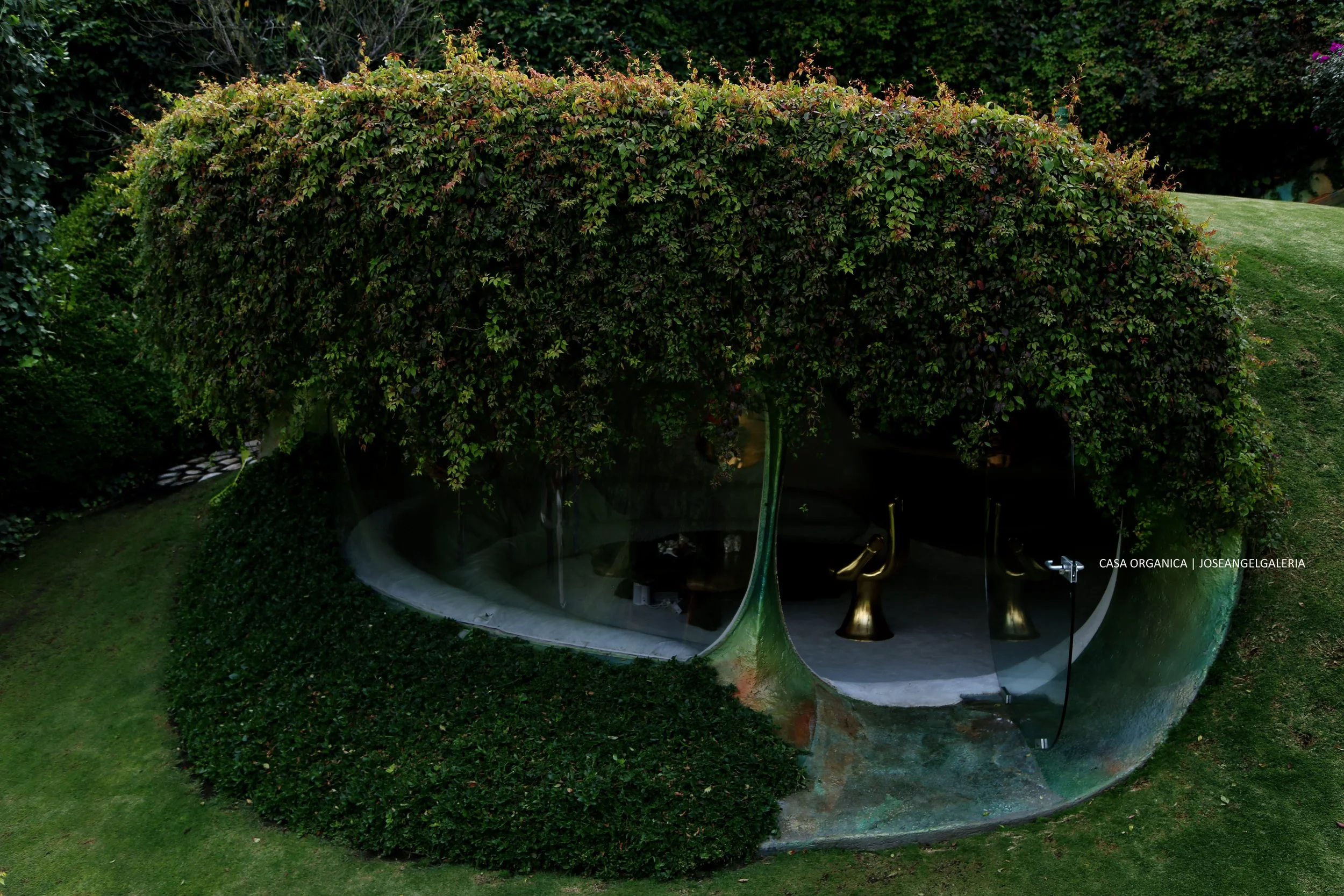 CasaOrganicaJoseAngelFilms©.jpg