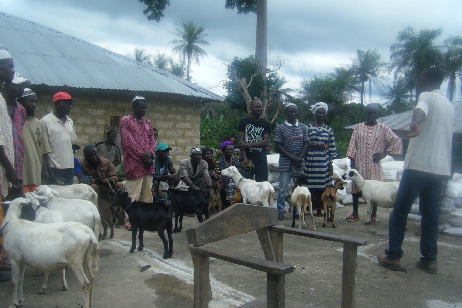 Distribution of Agric Inputs to farmers at Makuthaneh (10).jpg