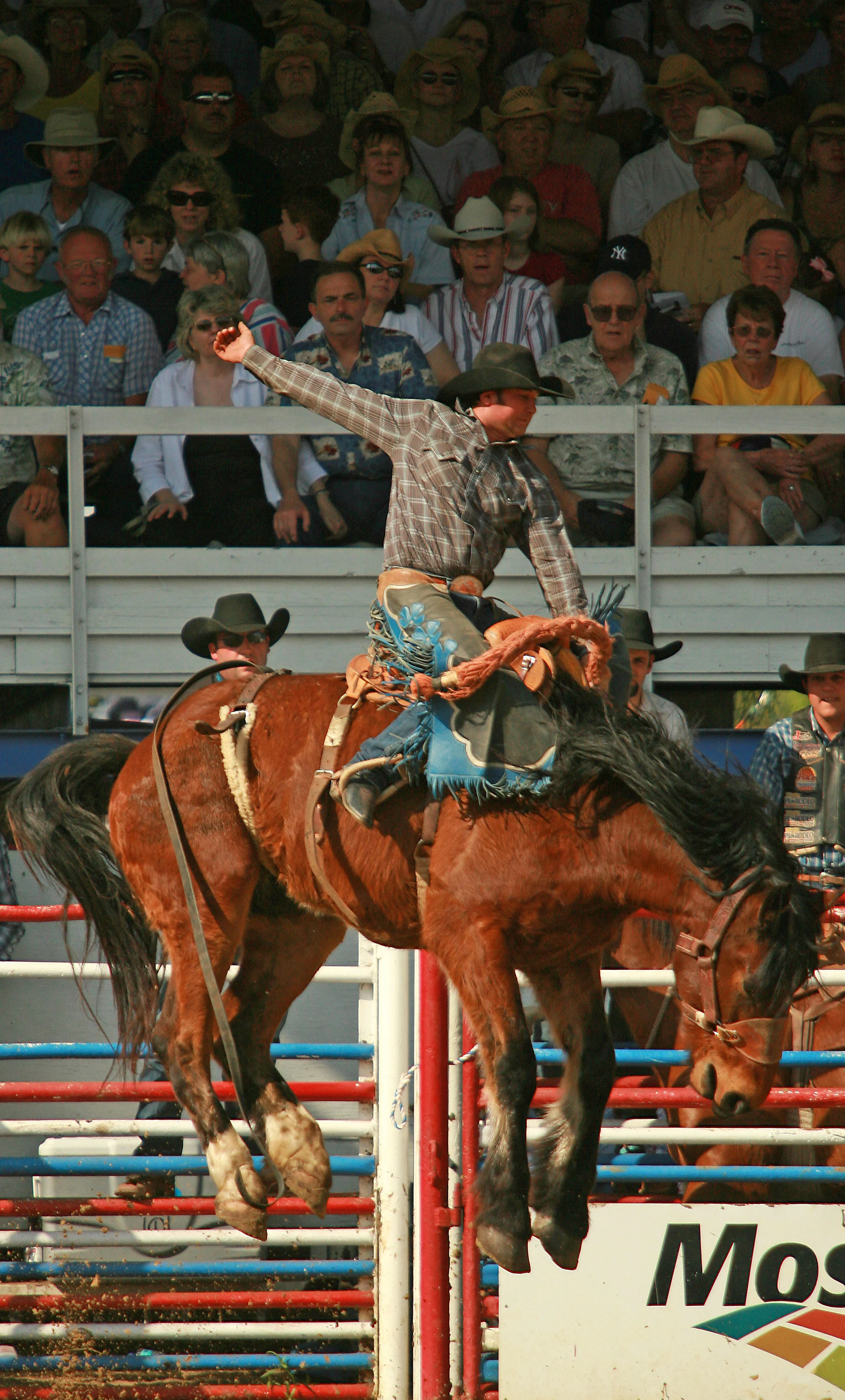 rodeo 1.jpg