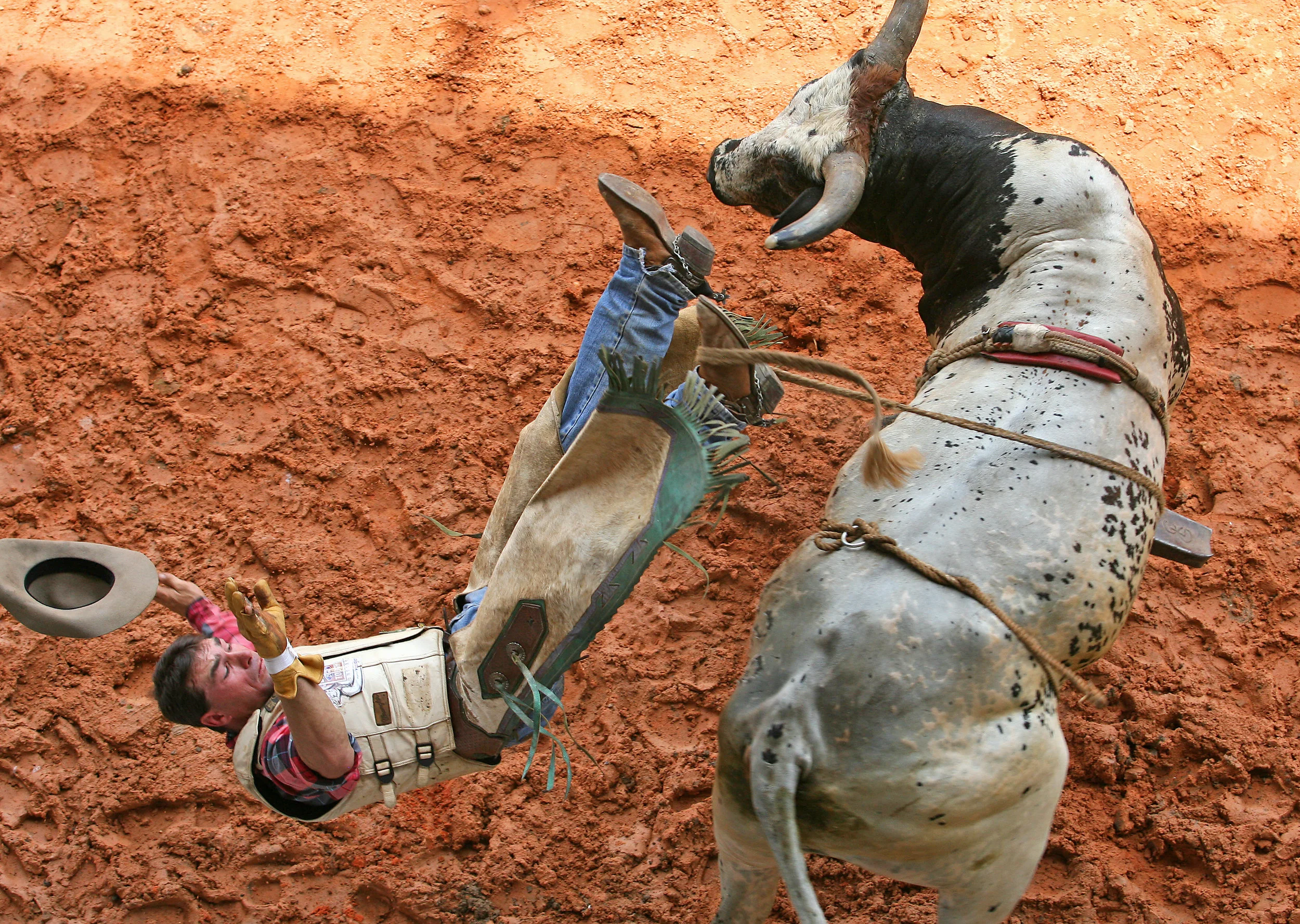 rodeo 4.jpg