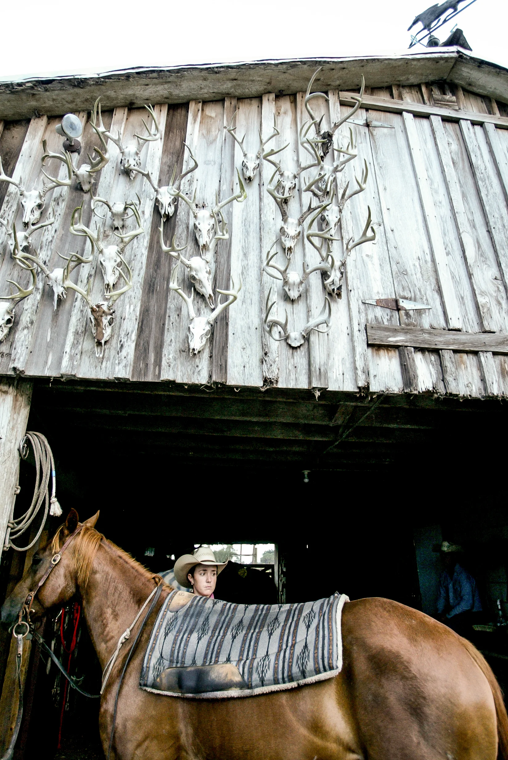 AdamsRanch-0528edit.jpg