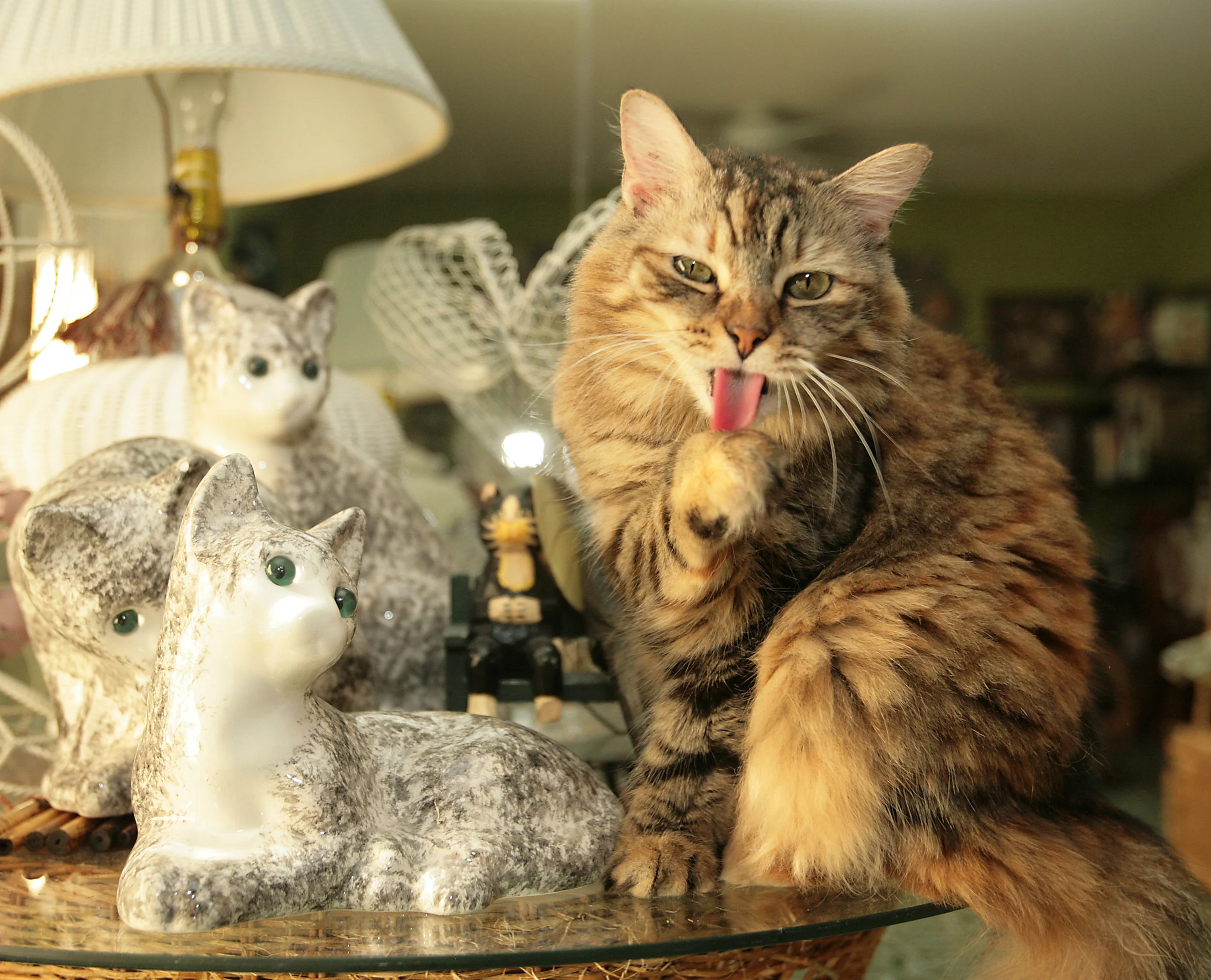 090607 cats.jpg