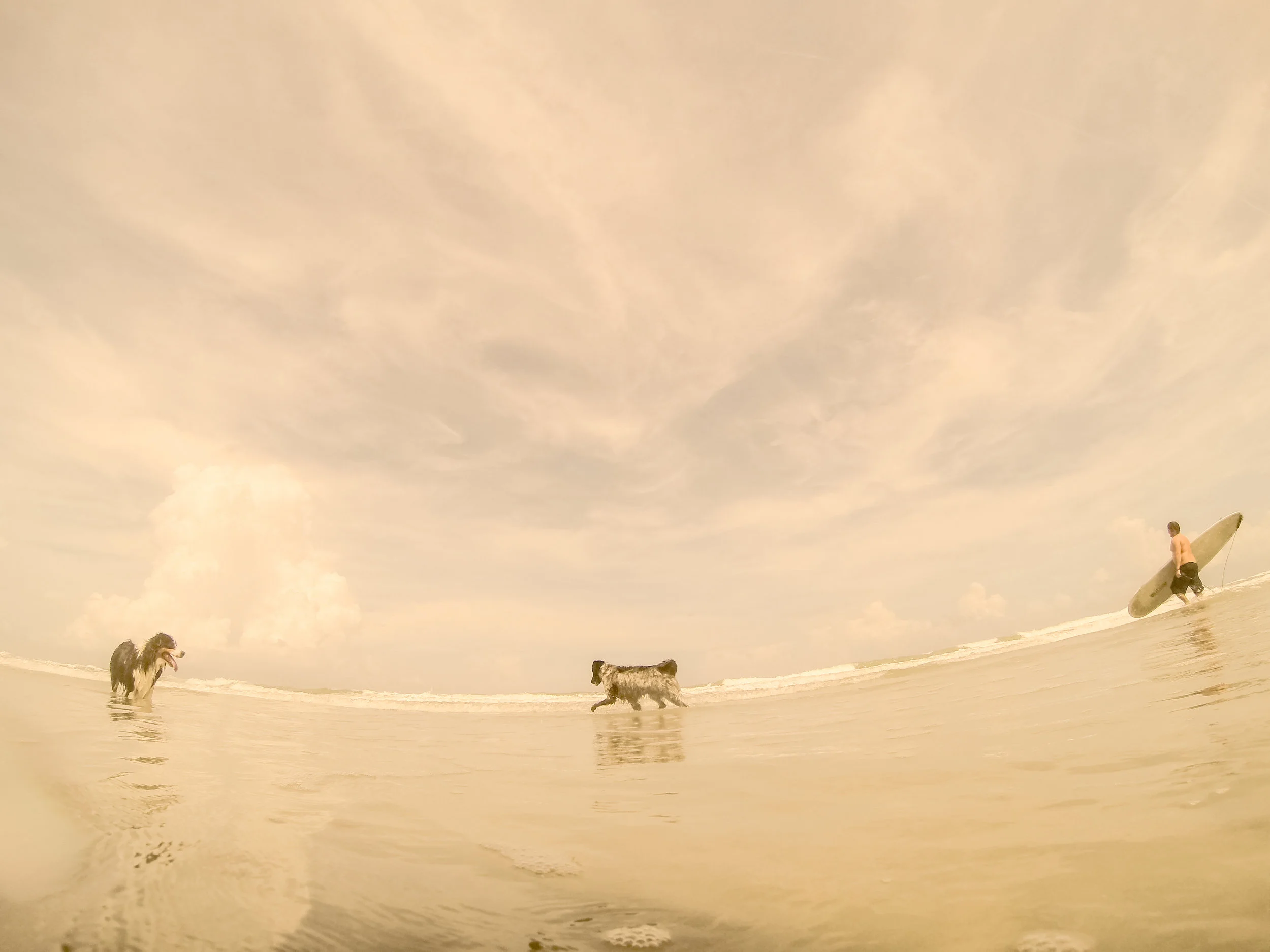 beach-0090.jpg