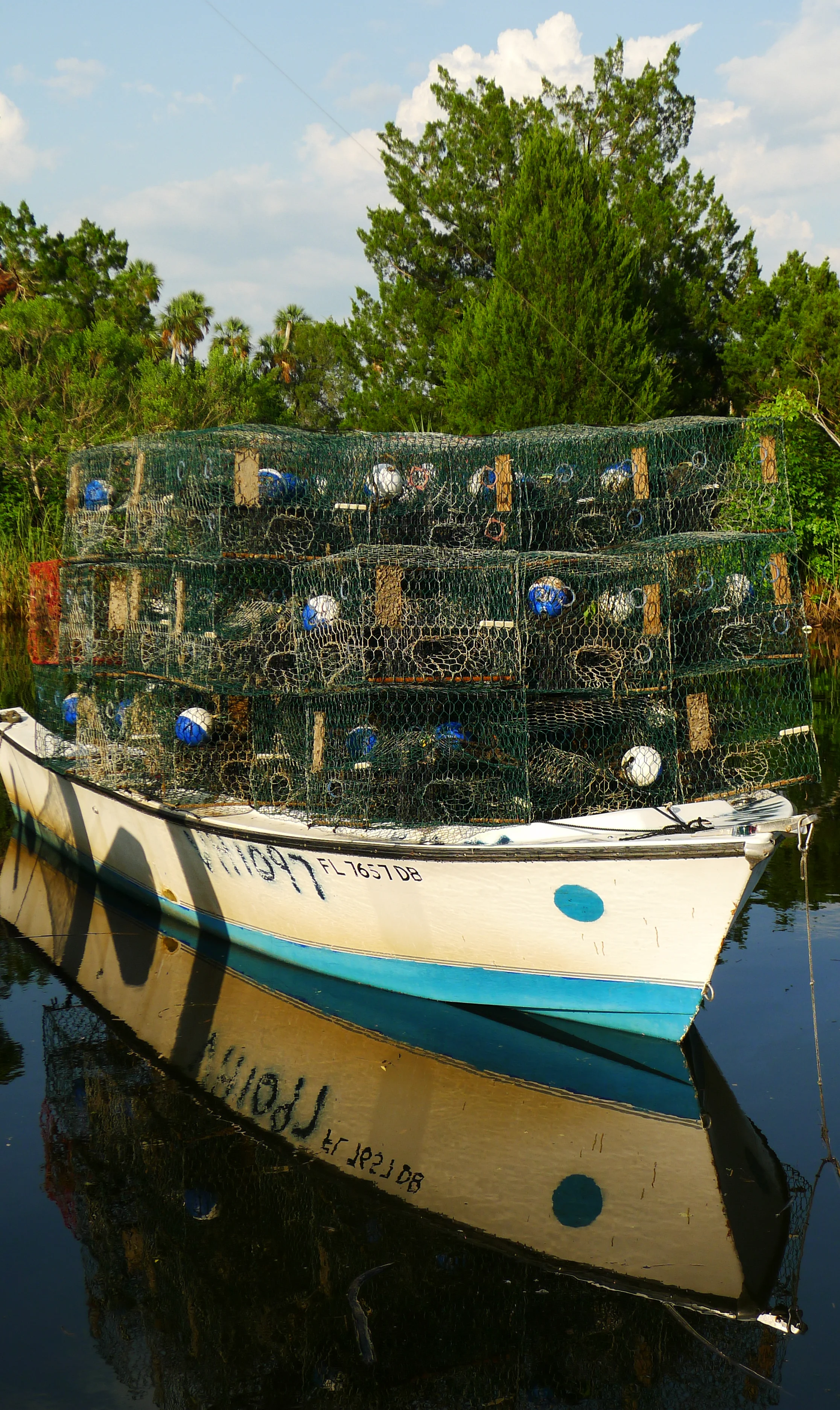 CrystalRiver-1010295.jpg