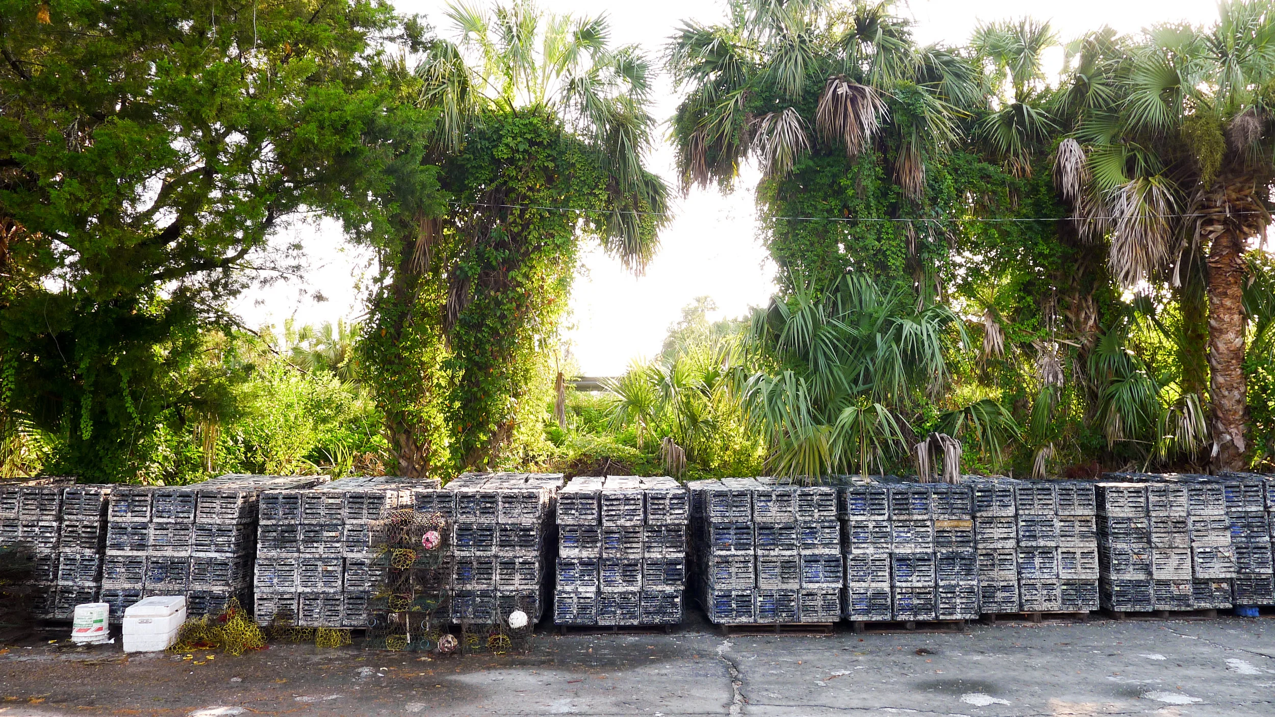 CrystalRiver-1010303.jpg