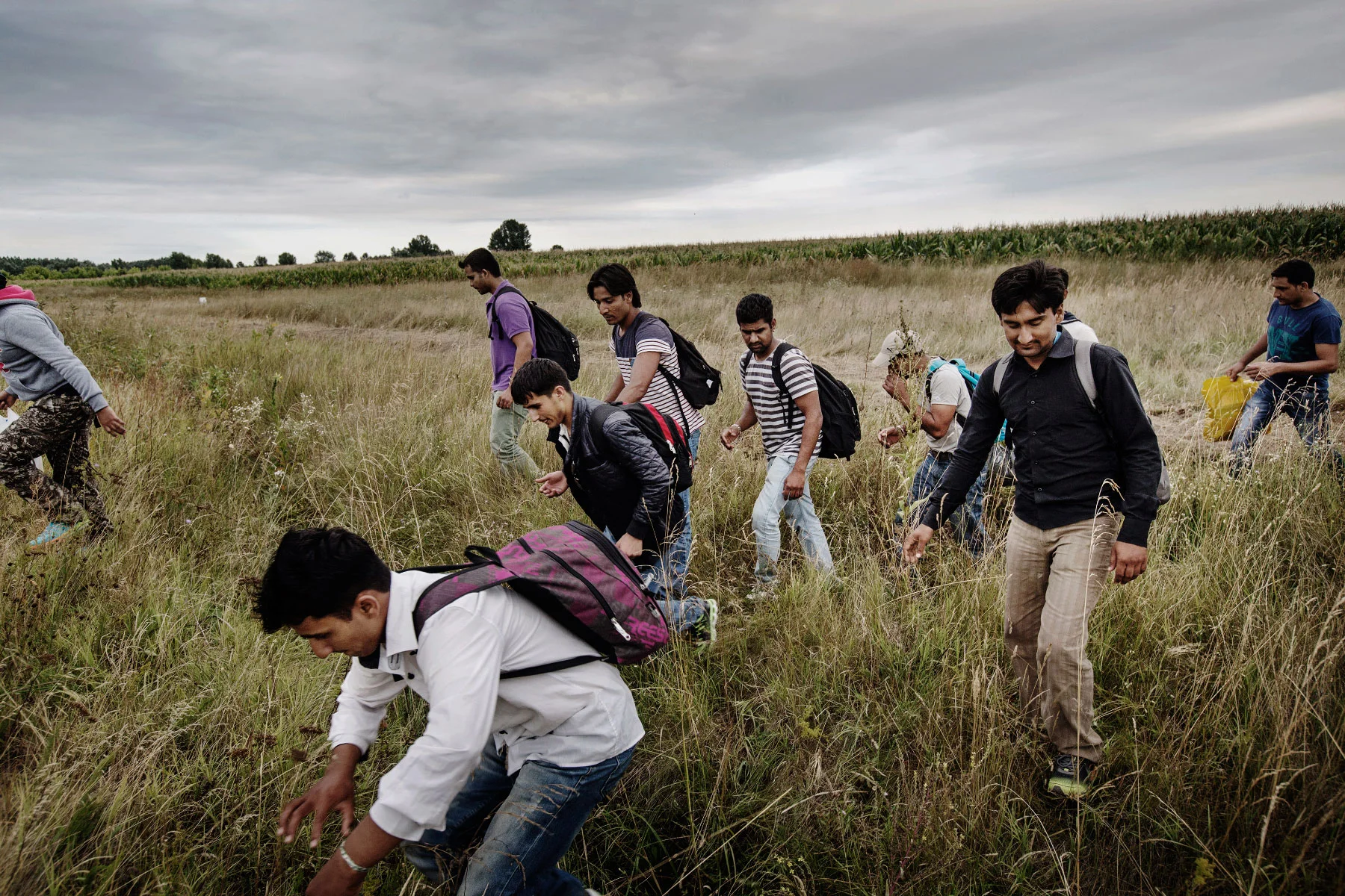 A group of Syrian, Afghan and Pakistani refugees are crossing the border from Serbia into Hungary