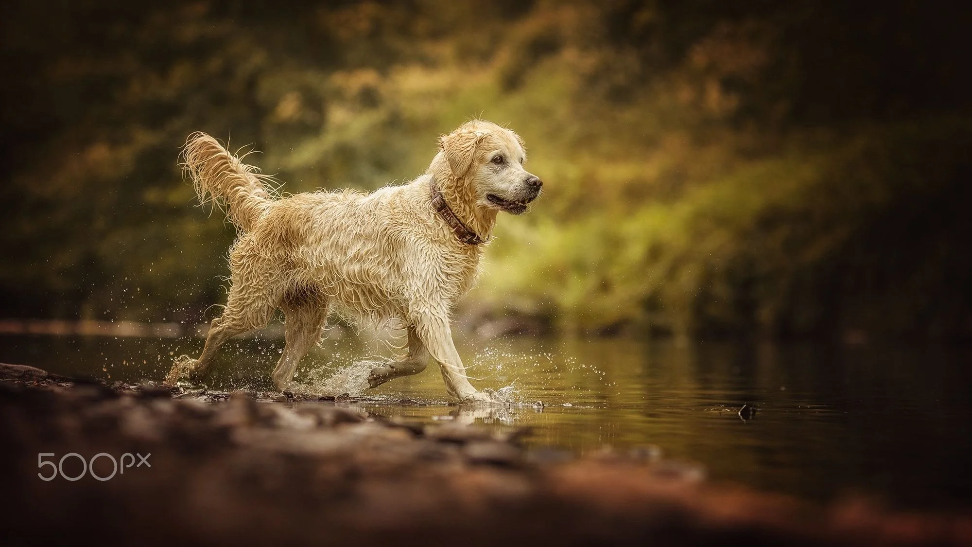 Walking on Water