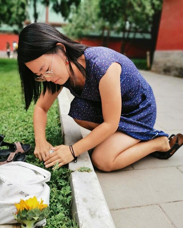 opening beer on curb = skill acquired // picnic level up 🌷🍻😛