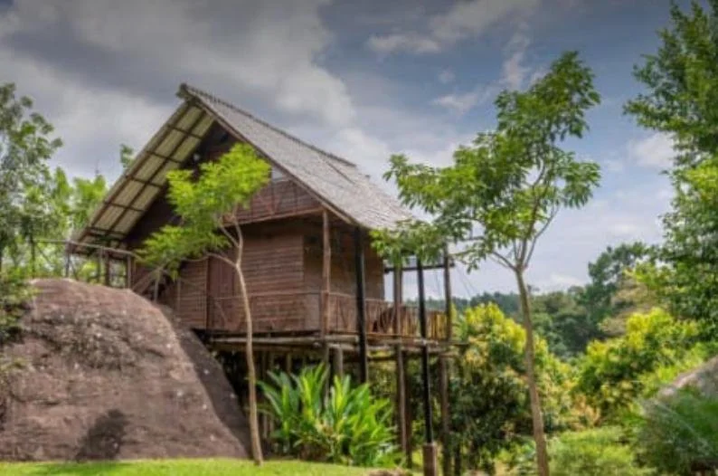 WhatsApp Image 2025-08-14 at 10.38.43.jpeg